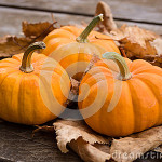 fall_pumpkins